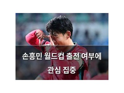 손흥민 월드컵 출전 여부에 관심 집중