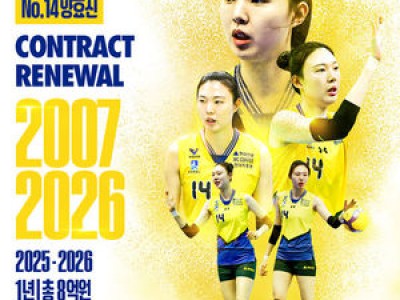 양효진 현대건설 재계약 확정