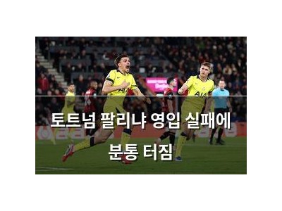 토트넘 팔리냐 영입 실패에 분통 터짐