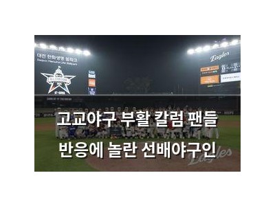고교야구 부활 칼럼 팬들 반응에 놀란 선배야구인