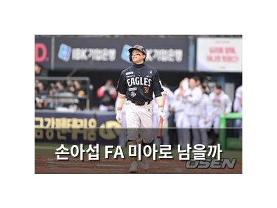 손아섭 FA 미아로 남을까