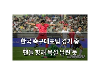 한국 축구대표팀 경기 중 팬들 향해 욕설 날린 듯