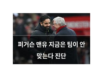 퍼거슨 맨유 지금은 팀이 안 맞는다 진단