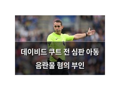 데이비드 쿠트 전 심판 아동 음란물 혐의 부인