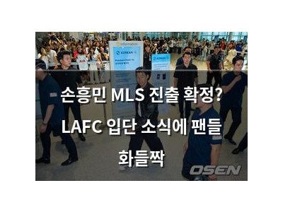 손흥민 MLS 진출 확정? LAFC 입단 소식에 팬들 화들짝