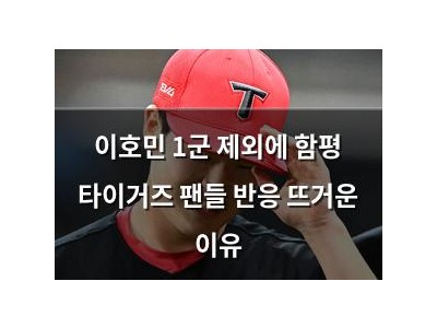 이호민 1군 제외에 함평 타이거즈 팬들 반응 뜨거운 이유