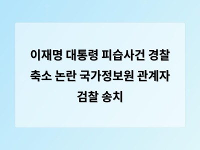 이재명 대통령 피습사건 국정원 조사 결과 검찰에 넘겨 정치적 논란 확산