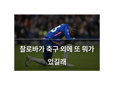 찰로바가 축구 외에 또 뭐가 있길래
